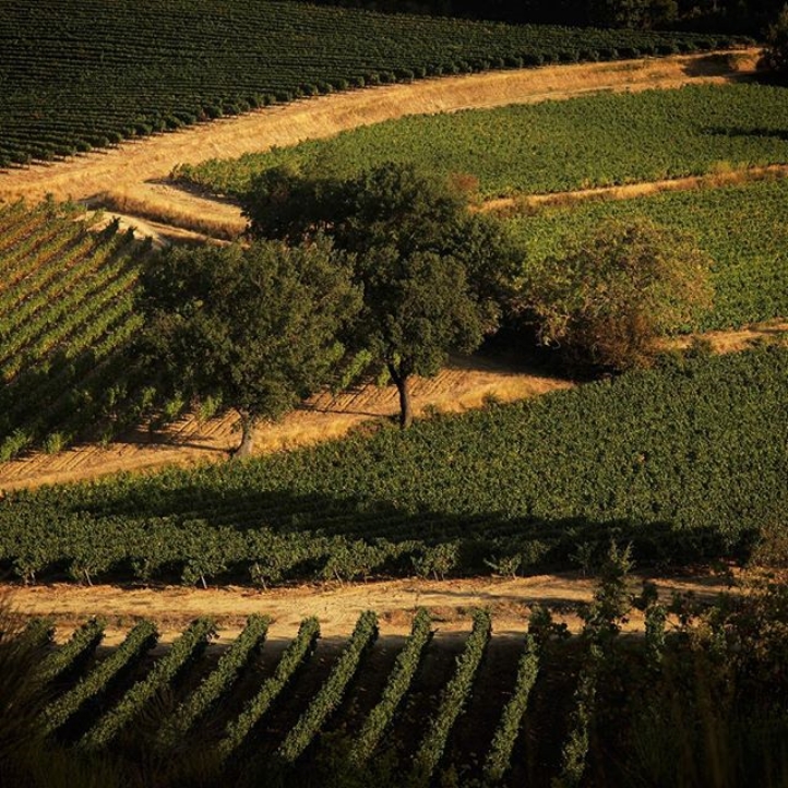 Vignobles vin crémant du Limoux